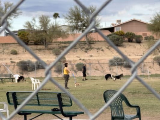 Echo Mountain Off Leash Arena at Grovers Basin